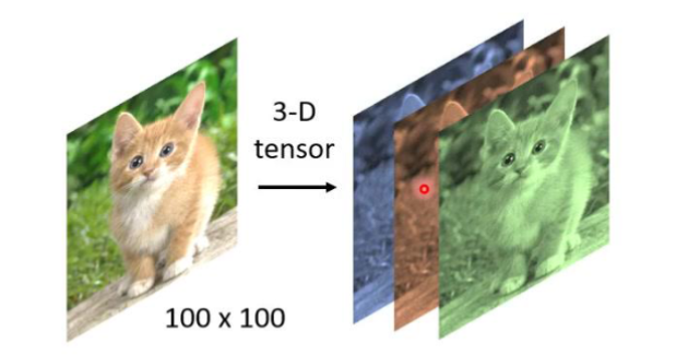 image-20250901111401812