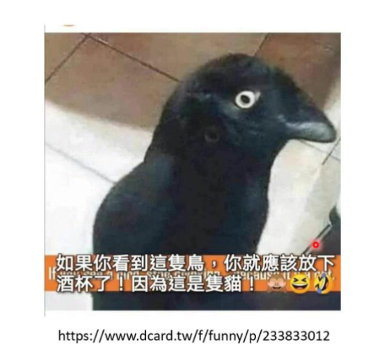 image-20250901111606390