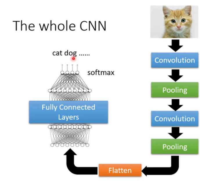 image-20250901114137921