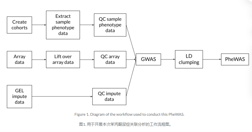 image-20260106222407942